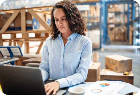 Algo-Analytically-Enriched Demand And Sales Planning Tools
